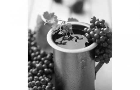 Wine lovers