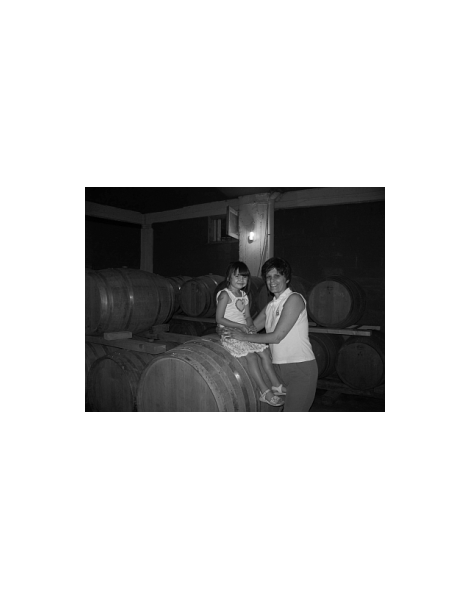 Dalamara Winery