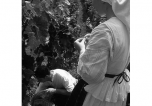 Contraction of a wine region 
