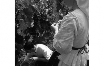 Contraction of a wine region 