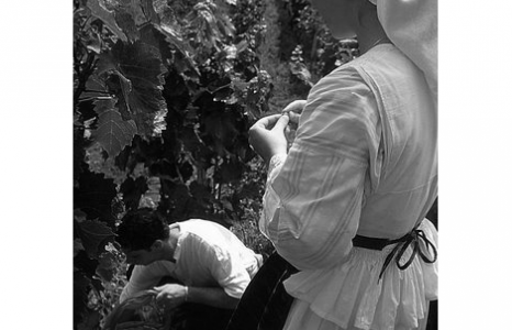 Contraction of a wine region 