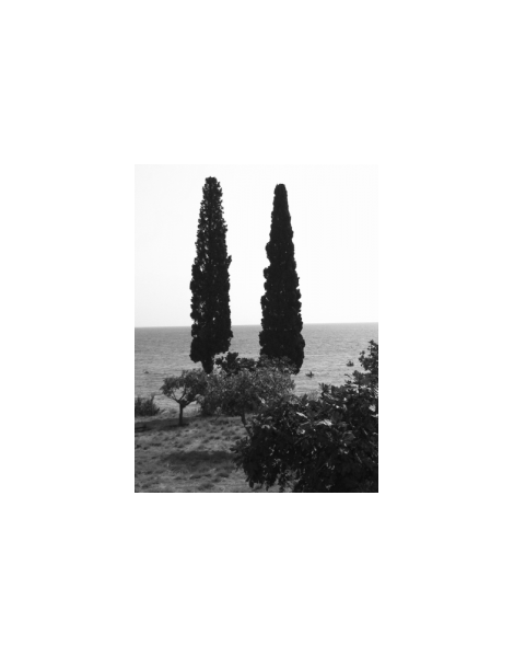 Kyparissi view